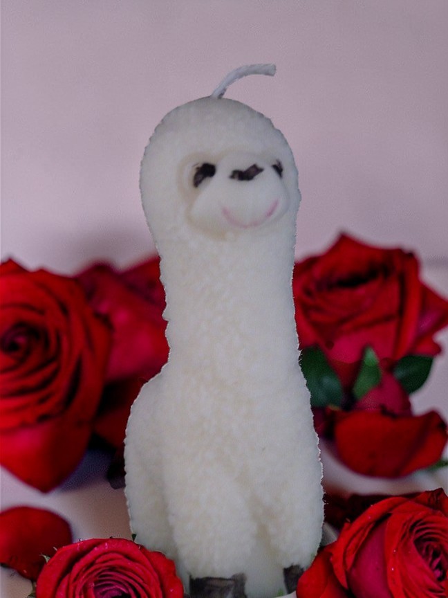 (image for) Alpaca Kaars